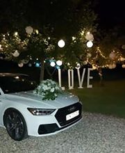 Mahieu Frank image 3