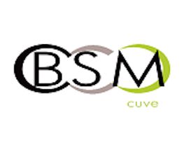 BSM Cuve image 2