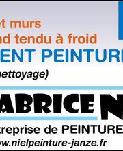 Fabrice Niel image 2
