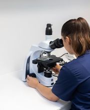 Kleintierpraxis Seegarten AG Bild 5