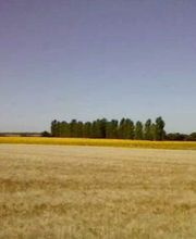 Chez Marie-Hélène image 11