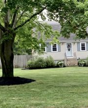 Brace Lawn Care image 3