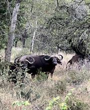 Knap Tours imagen 12