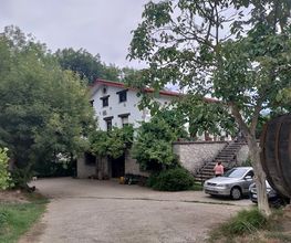 2022-07-31.jpg