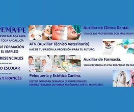 CEMAFE Formación imagen 1