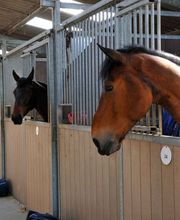 Ecuries des Tourelles image 16