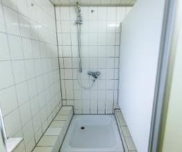 Shell Bild 1