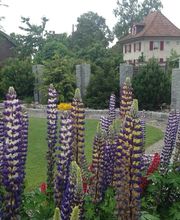 HELD Gartenpflege AG Bild 7