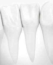 Dr. med. dent. Bühler Nico Bild 8