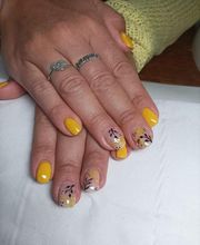 La Fée des Miracles image 10