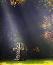 Bestattungsinstitut Winter Bild 8