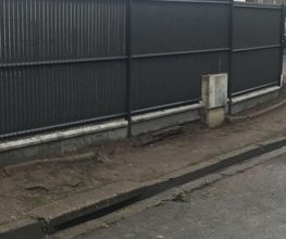 Dujardin Paulo image 7