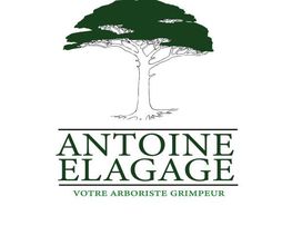Antoine élagage image 5