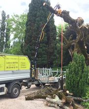 Des Racines à la Cime image 16