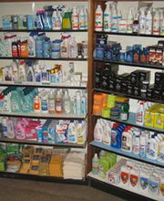 Araignée Rouge Bild 1