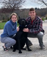 Dog Guard Midwest image 19