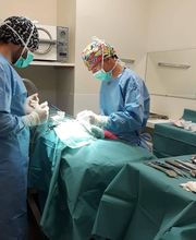 Cabinet Vétérinaire de St-Jean Bild 5