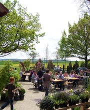 Aquilegia Im Garten Zuhause GmbH Bild 4