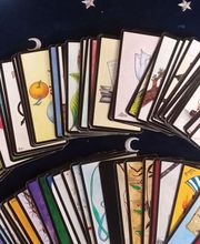 Monier Franck image 7