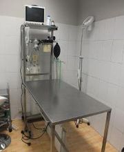 Doctoras Vet Clínica Veterinaria imagen 4