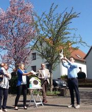 REHO Renninger Hochzeitstauben Bild 3