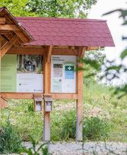 FriedWald Schurwald Bild 8