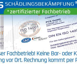 Klavier Zähringer Bild 4