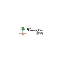 Sommadossi Enzo Vivai Viti Trentino logo