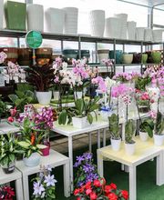 Gallery Professionale