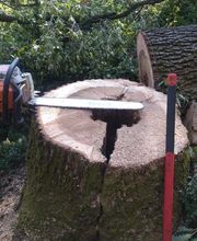 Haut Fil des branches image 11