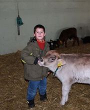 Ferme des Trontières Randogne Bild 12