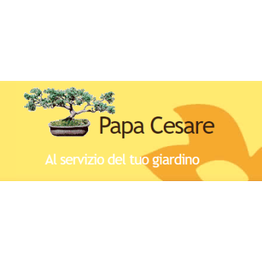 Papa Cesare logo