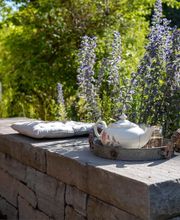 Artenreich Bolinger Gärten AG Bild 8