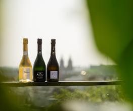 BLOU Rooftopbar afbeelding 9