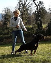 Elevage Des Princes De L'albinol image 19