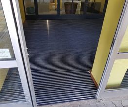 Reinstreifer Schule Frankfurt