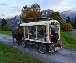 schuler-transporte.ch gmbh Bild 1