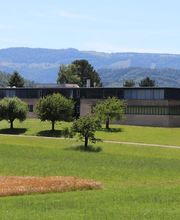 Museum für Musikautomaten Bild 13