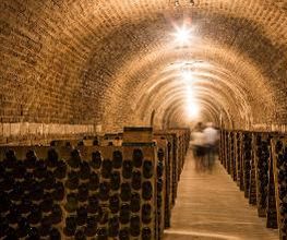 Champagne Collet image 7