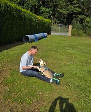 Murmure canin image 7