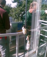 Glaserei Georg Thaller Bild 3