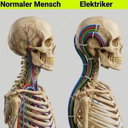 Elektrotechnik Peter
