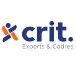 CRIT LYON Experts & Cadres