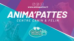 Anima 'Pattes