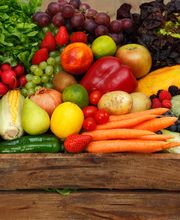 Foodservice Brüning ist ihr zertifizierter Großhandel für Obst, Gemüse, exotische Früchte und Feinkost auf Sylt. Frische, Qualität und zuverlässiger Kundenservice sorgen für eine hohe Zufriedenheit unserer Kunden.

 „Gehe immer mit der Zeit“ ist unser Motto, dies spiegeln wir auch durch unsere vertrauensvolle und freundschaftliche Zusammenarbeit mit unseren Kunden: von der Bestellung bis hin zur Lieferung wider. Wir liefern täglich rund um die Uhr für ihre Zufriedenheit.