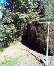 Multi Services Occitanie image 17