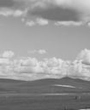 CarXpert Garage Roschi AG Bild 2