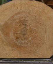 Scierie Tournier Fils image 6