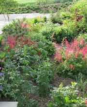 Trais Fluors Gartenbau GmbH Bild 3