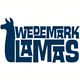 Wedemark Lamas